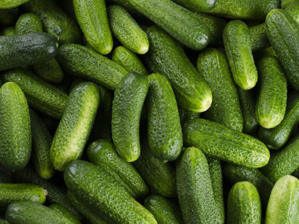 Cucumber as an ally for your health